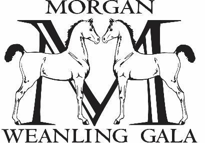 JUDGES SELECTION The three judge panel will consist of the primary judge selected by the Buckeye Morgan Challenge Horse Show plus two judges selected by the MWG shall officiate the Morgan Weanling