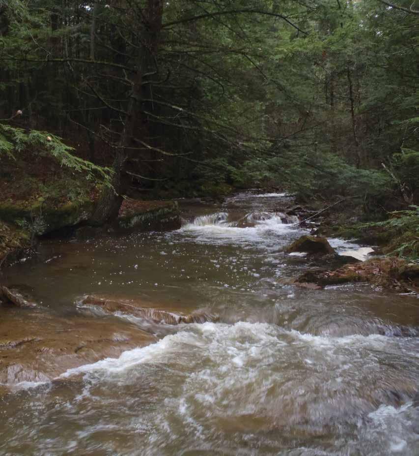 Project Spotlight Tangascootack Creek Tangascootack Creek is the most downstream tributary that contributes AMD to the West Branch Susquehanna River and it may well be the next watershed where