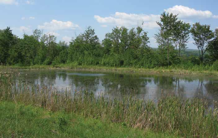 Project Spotlight Babb Creek The effort to restore Babb Creek, a major tributary to the well-known Pine Creek, is one of the longest-running and most successful watershed restoration efforts in the