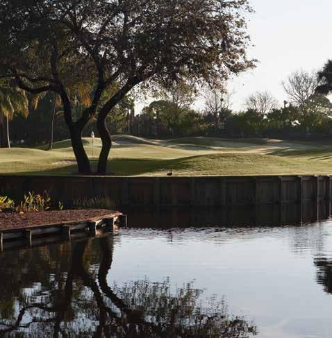 The Bay Colony Golf Course restoration inspired the creation of an entirely new field at Pikes Creek Turf, and Tif Sport was planted and grown just for Bay Colony Golf Club.