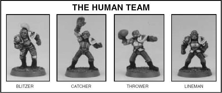 There are five different types of player in Blood Bowl: Blitzers, Catchers, Throwers, Linemen and Blockers. Different races teams contain different combinations of players.