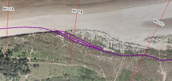 Tidal levels of MHWS, MSL and MLWN provided by Gardline Environmental Ltd were also plotted against the beach profiles and the position of sandbars and areas of erosion/accretion in relation to these