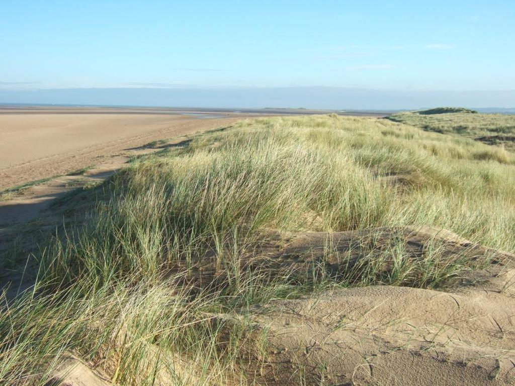 2.0 Holme-next-the-Sea 2.1 Introduction Holme is situated on the north Norfolk coast 4km east of Hunstanton.