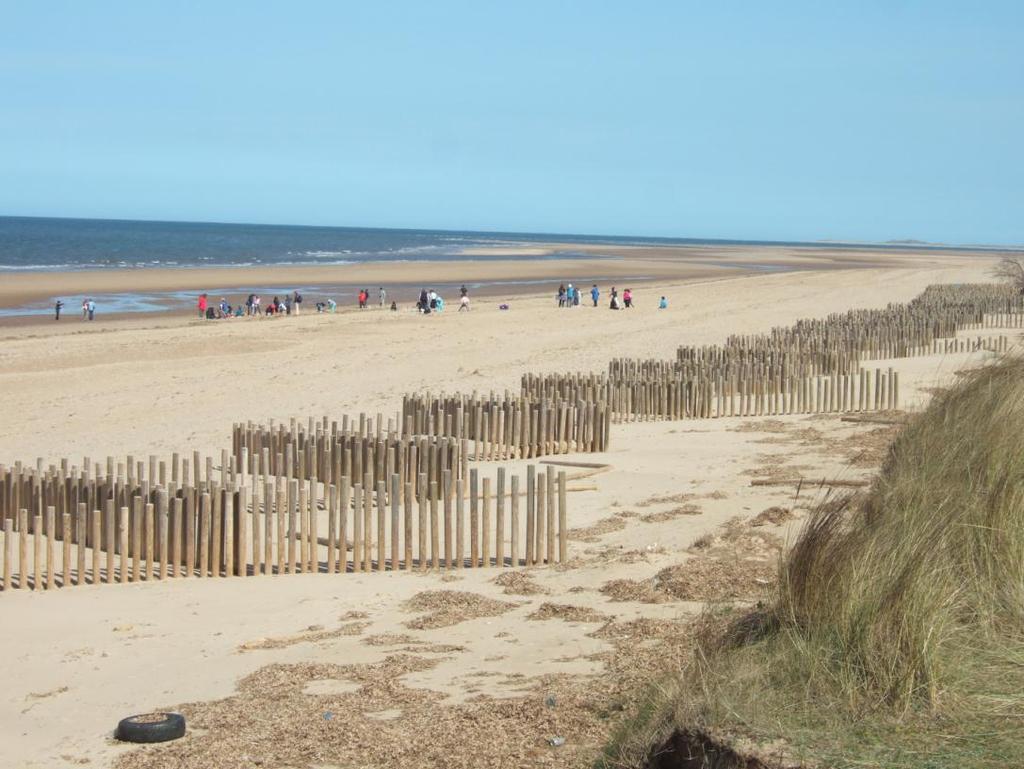 dunes. Recycling or nourishment can initiate beach level increases, and fencing, thatching and transplanting can encourage dune growth.