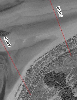 N1D6C Gore Point. Three lines of dunes with decreasing crest heights towards the foreshore back a wide sandy beach. Aerials show a seaward advance in dunes of 26m from 1992 to 2007.