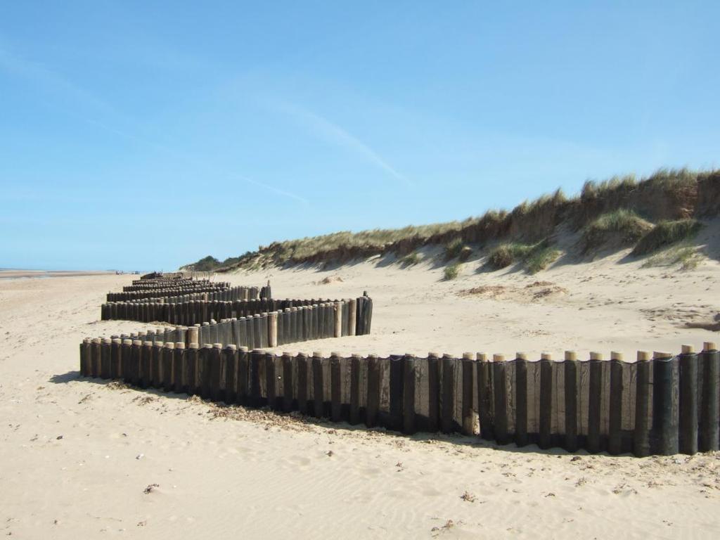 Figure 23 The western limit of dune fencing at N1D7A where