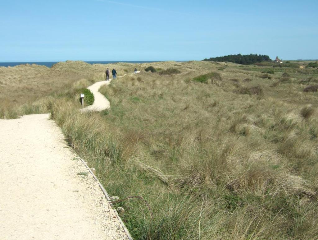 N1D7B West of The Firs. A single line of dunes at 17m chainage is fronted by dragons tooth dune fencing. The dunes have retreated by 8m since 1998W when they were a height of 10.3m.