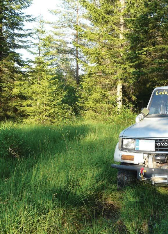 DISCOVER THE WILD SOUTH EXPLORE THE UNESCO APPROVED TERRAIN OF THE ISLAND BY 4X4 AND EXPERIENCE SOME OF THE ISLAND'S MOST SPECTACULAR SCENERY, ONLY ACCESSIBLE BY HEADING OFF-ROAD.
