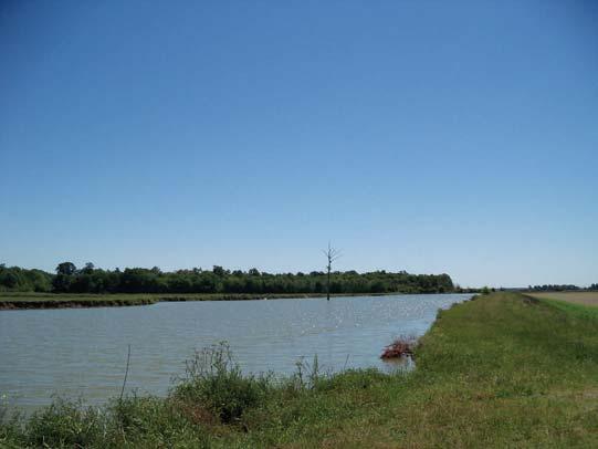 Levees give you access to all duck holes and several locations for deer hunting. The owners recently completed a 5 year capital improvement plan over the property to maximize duck hunting.