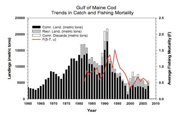 Figure 5. Trends in commercial and recreational landings and fishing (NEFSC 2008). Stock biomass decreased through the early to mid-1990s, but has been increasing since 2005 (Fig. 6).