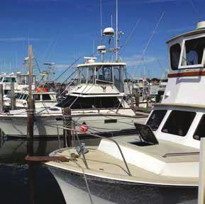 commercial and recreational saltwater fishing generated more than $199 billion in sales and supported 1.7 million jobs in 2012.