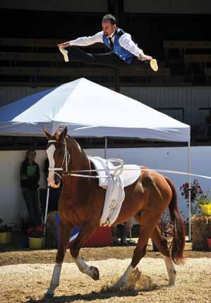 Todd Griffiths Hometown: Babb, MT Age: 30 Years vaulting: 6 Occupation: Equine and mixed animal veterinarian serving Northern Montana and Southern Alberta.