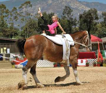 Rowan Bender/Lauren Horton, The Riding Academy 6.500 5. Hana Mason/Maya Lesenten, Lone Star 6.500 Special Doubles 1. Sammy Lieberman/Sarah Wendee, Valley View 5.867 2.