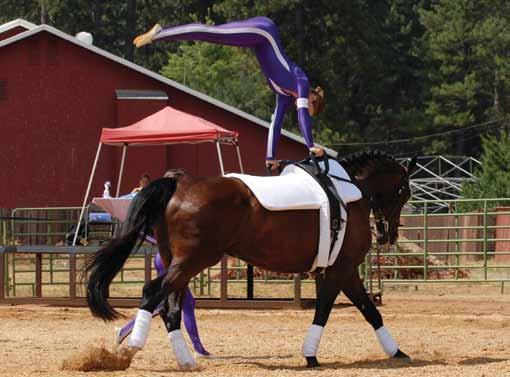 In vaulting, any loss of balance decreases control while simultaneously reducing harmony. Balance is crucial for successful vaulting, since without balance, harmony is impossible.