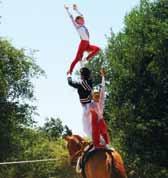 Equestrian Vaulting Columns 5 From the President Sheri Benjamin 22 Through the Eyes of the Judges Compulsory Exercises: Hot Tips for Higher Scores