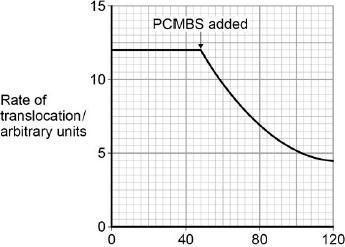 (3) PCMBS is a substance that inhibits the uptake of sucrose by plant cells. Scientists investigated the effect of PCMBS on the rate of translocation in sugar beet.