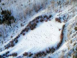 Quantify damage caused by elk on farms and evaluate the need for further compensation programs to offset losses.