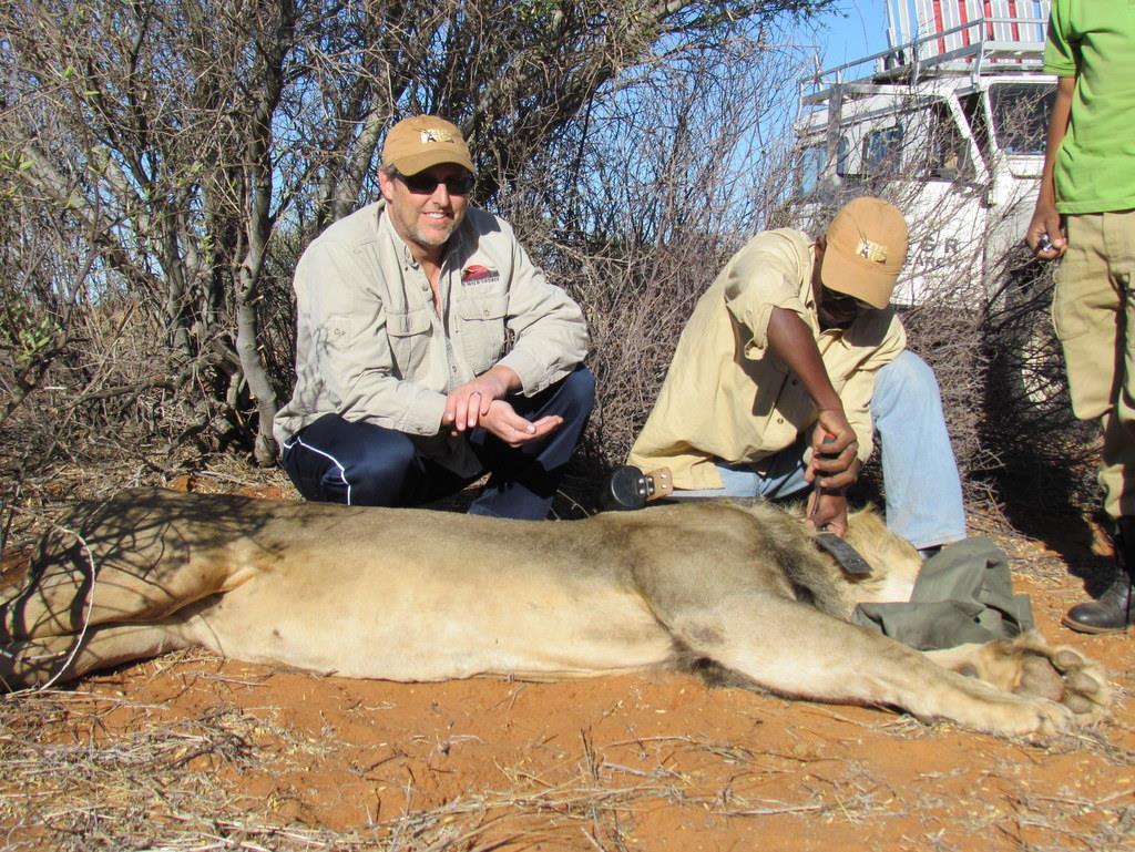6 BILL GIVEN CONSERVATION BIOLOGIST/LION RESEARCHER/SAFARI GUIDE Working for two decades as a Wildlife Biologist, Bill has conducted studies on a diverse array of species ranging from endangered