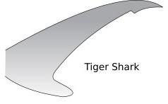 Shark Tails Sharks have very distinctive tails. The tails (caudal fins) of sharks are different between species of each shark.