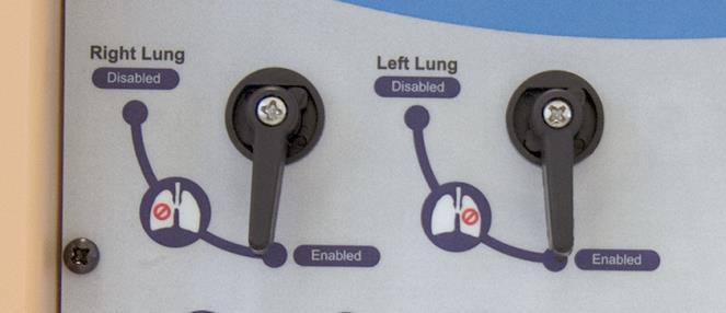 RIGHT MAINSTEM INTUBATION If the endotracheal tube is inserted too deep, the left lung is automatically disabled, realistically demonstrating right mainstem intubation.
