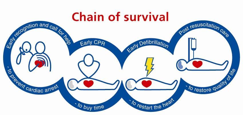 The steps that contribute to successful outcome after cardiac arrest form the chain of survival.
