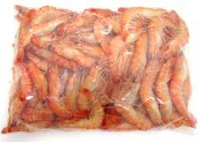 Cooked chilled prawns ZCISV500 - kg. 1,6 x 5 pc.