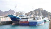 Directed Shark Fisheries Spanish and Portuguese shark longliners, Cape Verde 2007 Spain is the second largest fishing nation in the European Union, with nearly 850,000 metric tons of total catches in