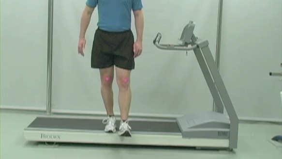 standing) Gross Ankle mobility: Anterior heel reach   standing)