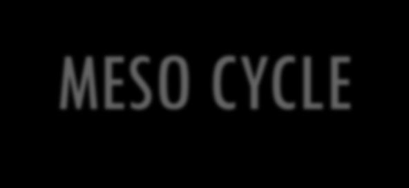 PERIODIZATION MESO CYCLE 6 WEEK CYCLES 2 WEEK CYCLES 1 WEEK CYCLES 4 WEEK CYCLES STRENGTH SPEED