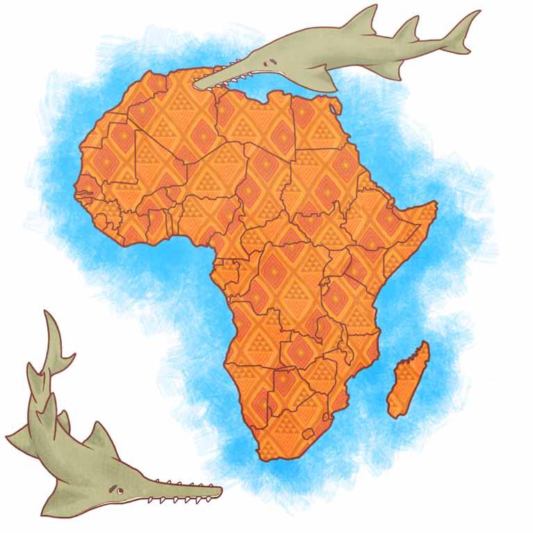 Sawfish have lots of different names in different parts of Africa.