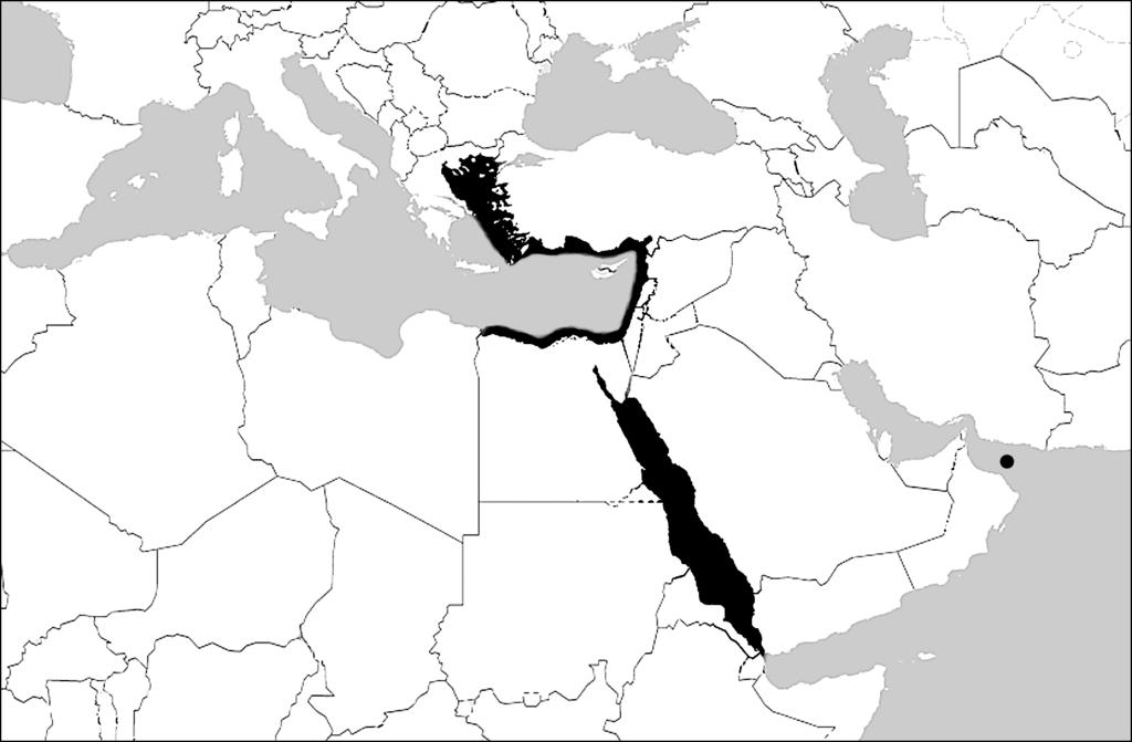Anales de Biología 34, 2012 First record of Equulites klunzingeri for Oman 33 April 2011. Figura 2. Distribución conocida de E. kunzingeri. Figure 2. Map showing world distribution of E.klunzingeri. Results and description E.