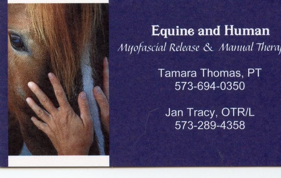 BOARDING/TRAINING / LESSONS Stony Hill Farm Columbia, Missouri Specializing in Dressage Contact Liz Hotchkiss 573-489-2927 This