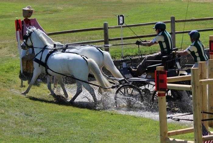Our pleasure driving show has some driven dressage and obstacle (cones and driving derby) classes that would help as well. If you cannot compete please consider volunteering for the event.