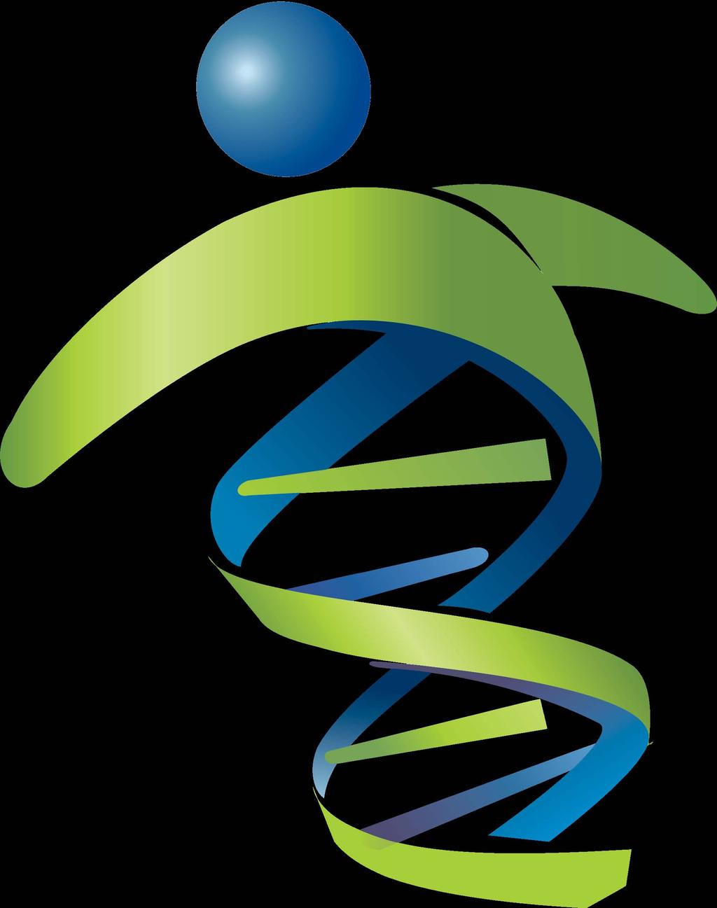 OSEBNA GENETSKA ANALIZA (DNK) Kaj so geni in genetska analiza? DNK (deoksiribonukleinska kislina) je molekula, ki nosi genetski zapis posameznika.