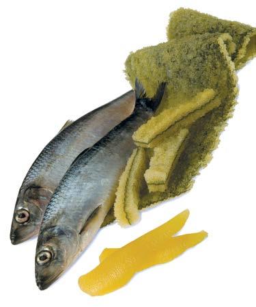 Herring Harvest ( 000 tonnes) ΜΜHerring Roe Herring 16.1 Food, Bait and Other 7.8 Spawn on Kelp 0.19 THE B.C. HERRING FISHERY has three components: spawn-on-kelp, roe herring and food & bait.
