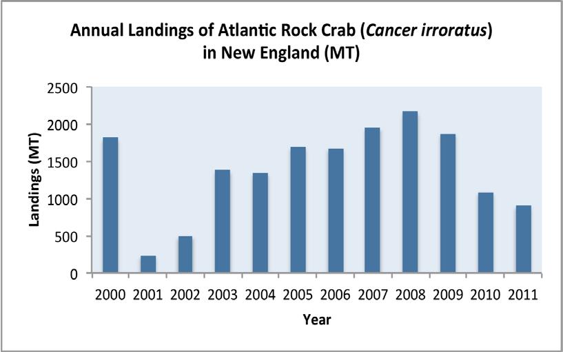 9 Landings of C. irroratus in the last decade have been less stable compared to Jonah crab landings (Figure 2). Figure 2: Annual Landings of Atlantic Rock Crab (C.