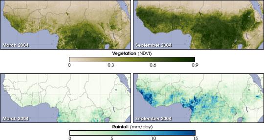 West African monsoon Top panels: NDVI [satellite-derived measurement of green-ness ] for March 2004 and September 2004 Bottom panels: TRMM rainfall for March 2004 and September 2004 From NASA EOIOD