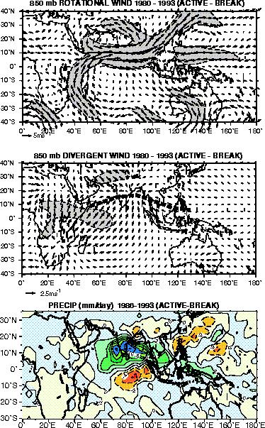 Figure 16. Composites of active and break periods of the summer south Asian monsoon. (a) The 850--mbar rotational wind component (m s-1) and (b) the 850--mb divergent wind component (m s-1).