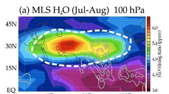 Water vapor from Aura MLS MLS H2O