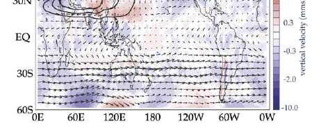 100 hpa vertical velocity from ERA40 reanalyses Large-scale