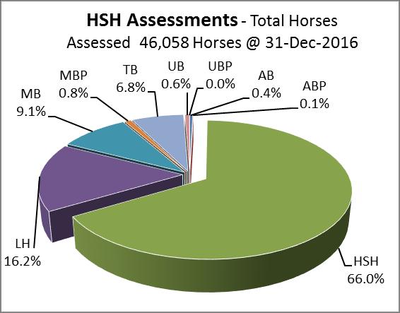HERITAGE STOCK HORSE -