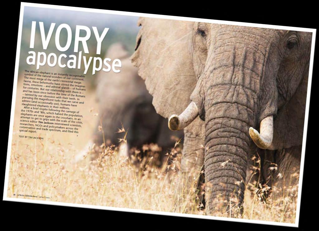 Ivory apocalypse: Africa Geographic 2013 by Tim Jackson From: