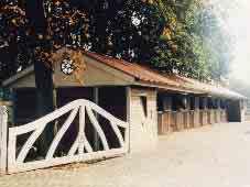 outdoor stalls and ensures an ideal supply