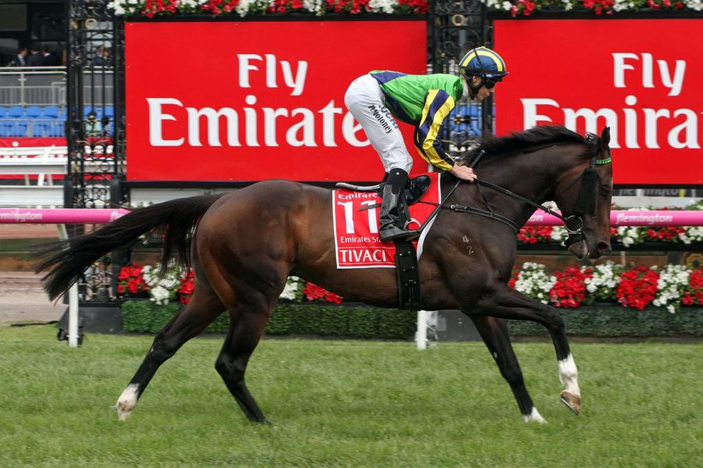Waikato Stud High Chaparral x Breccia (Fastnet Rock) $20,000+gst Tivaci Group One winning sprinter Tivaci will add to Waikato Stud s outstanding stallion roster this coming breeding season and will