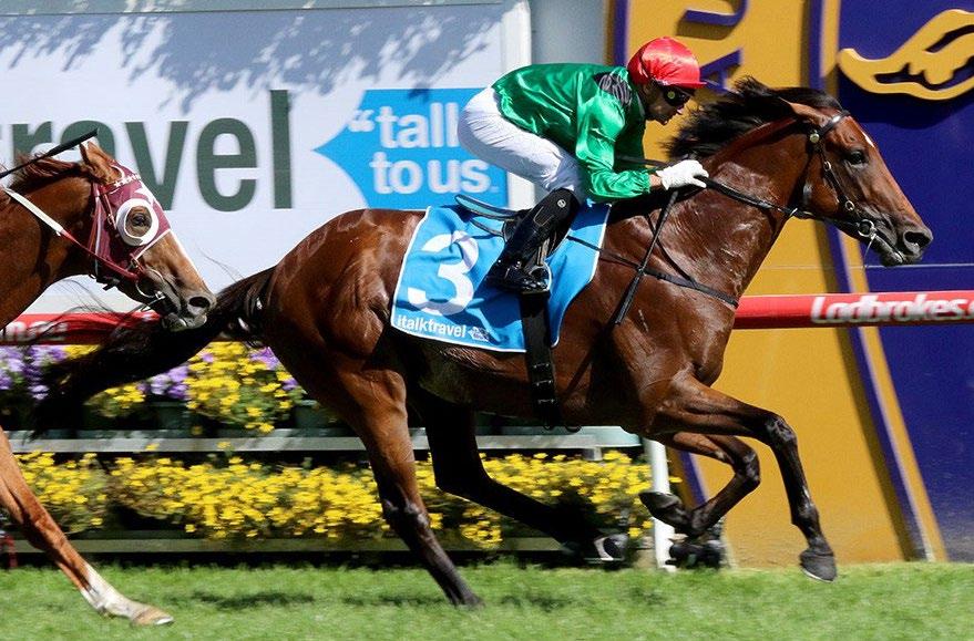 Windsor Park Stud Iffraaj x Indomitable (Danehill) $15,000+gst Turn Me Loose Triple Group One winner Turn Me Loose, one of Australasia s fastest and toughest milers, will stand at Windsor Park Stud