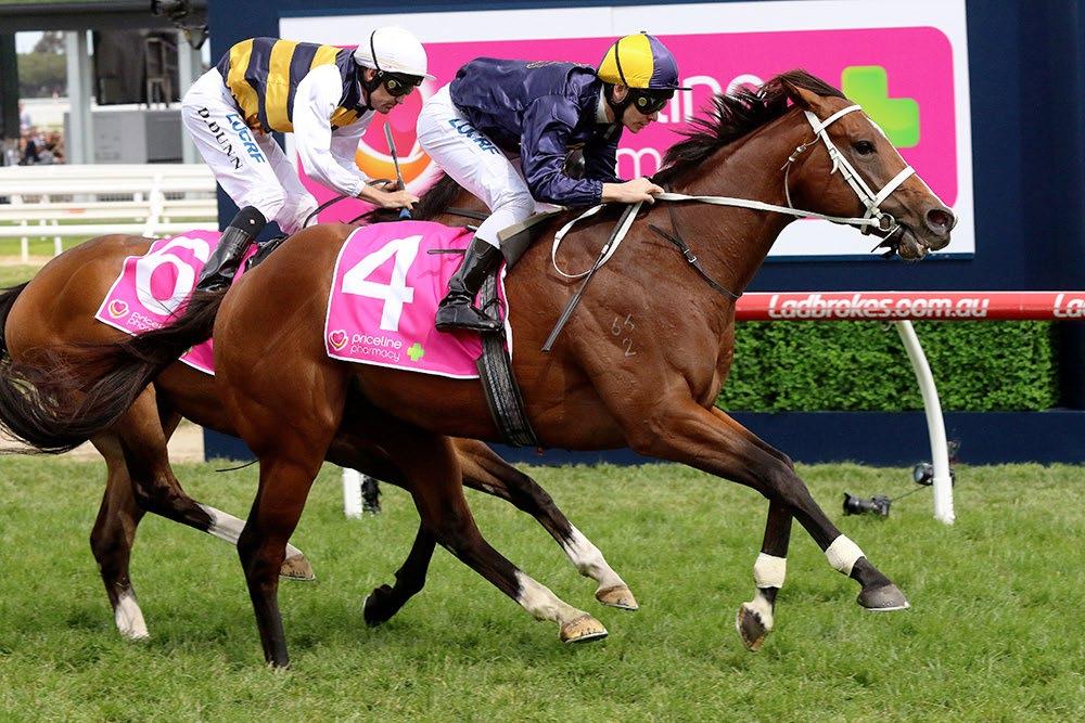 Vanbrugh Vanbrugh will join the stallion roster at Windsor Park Stud this coming breeding season and will stand for a fee of $6,000+gst at the Cambridge nursery.