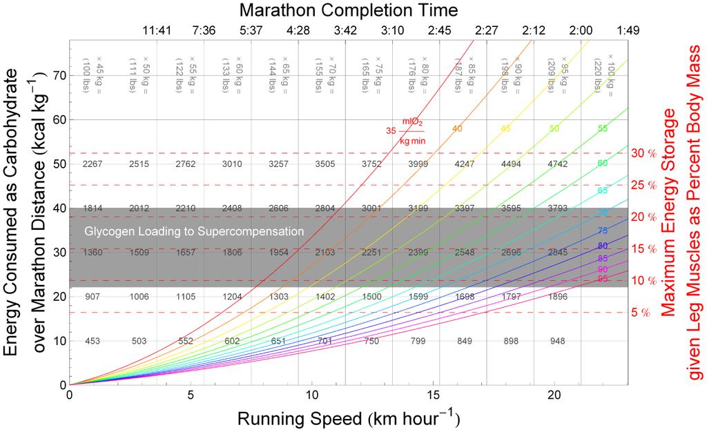 Figure 2. When does glycogen storage capacity constrain maximal marathon speed?