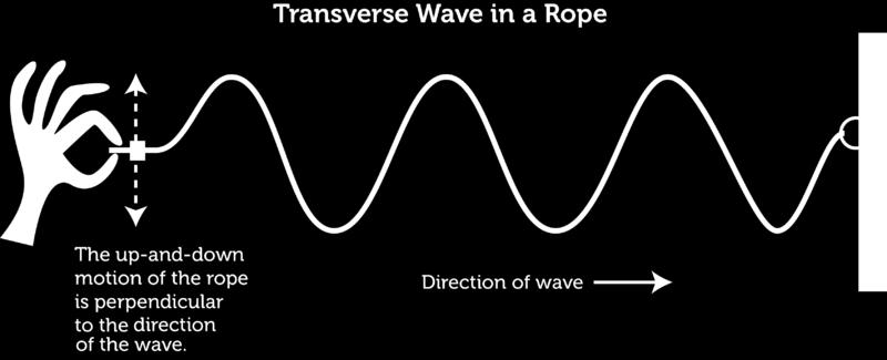 1.23. Transverse Wave www.ck12.org FIGURE 1.47 Crests and Troughs A transverse wave is characterized by the high and low points reached by particles of the medium as the wave passes through.