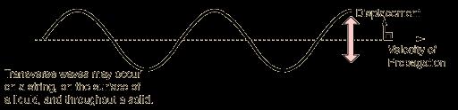 TRANSVERSE WAVES Particle vibration is perpendicular (sideways or up and down) to the