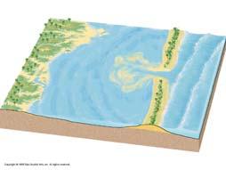 Database, ADCED Strand plain Similar to barrier island